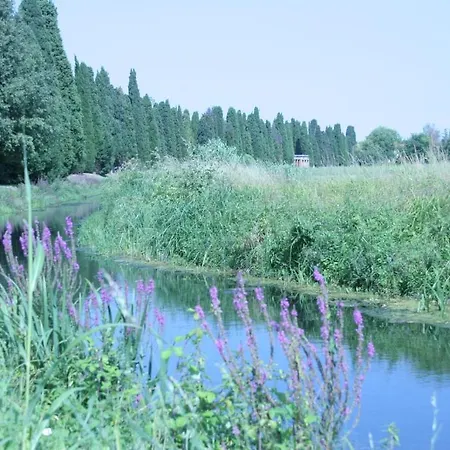 阿奎莱亚露营酒店 *