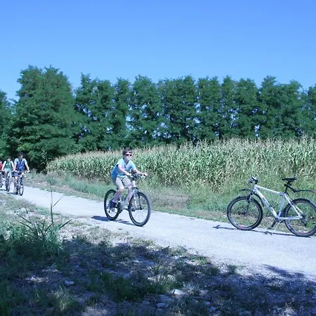 Camping Aquileia キャンプ場