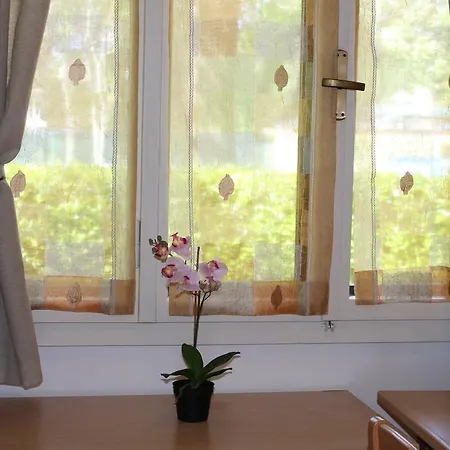 营地 阿奎莱亚露营酒店 阿奎莱亚